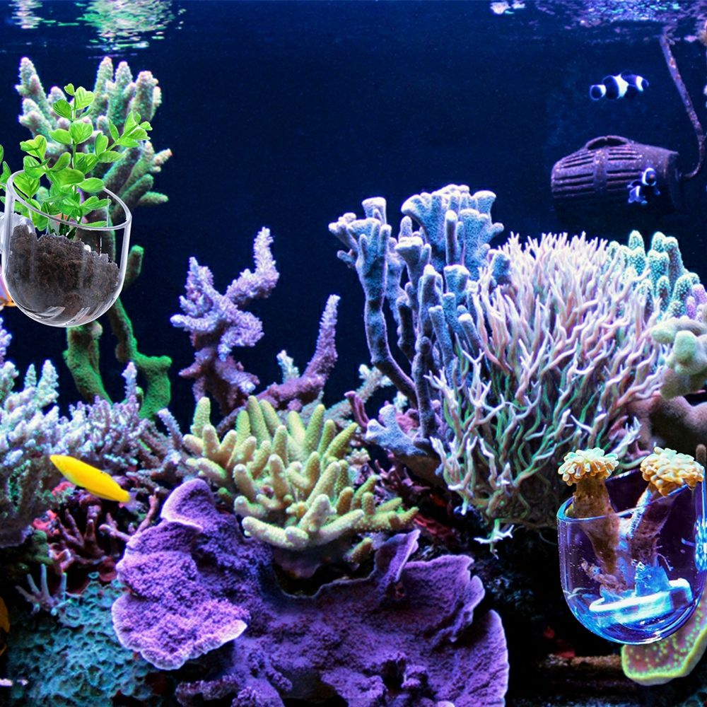 Aquarium Plant Red - وعاء تغذية للدودة الحمراء مع حامل