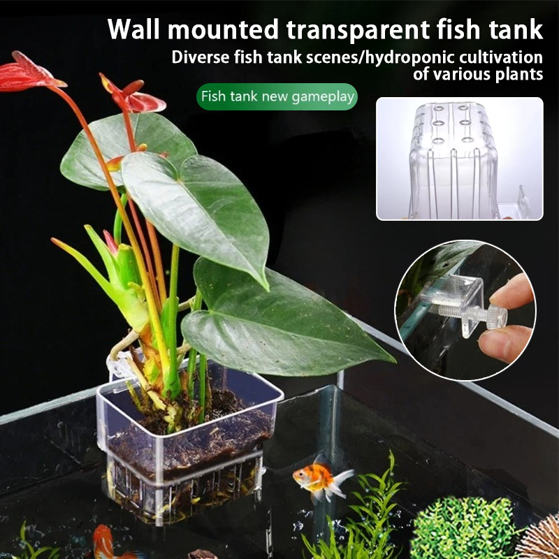 Aquarium Plant Growth - أكواب زرع معلقة للأحواض المائية، حامل
