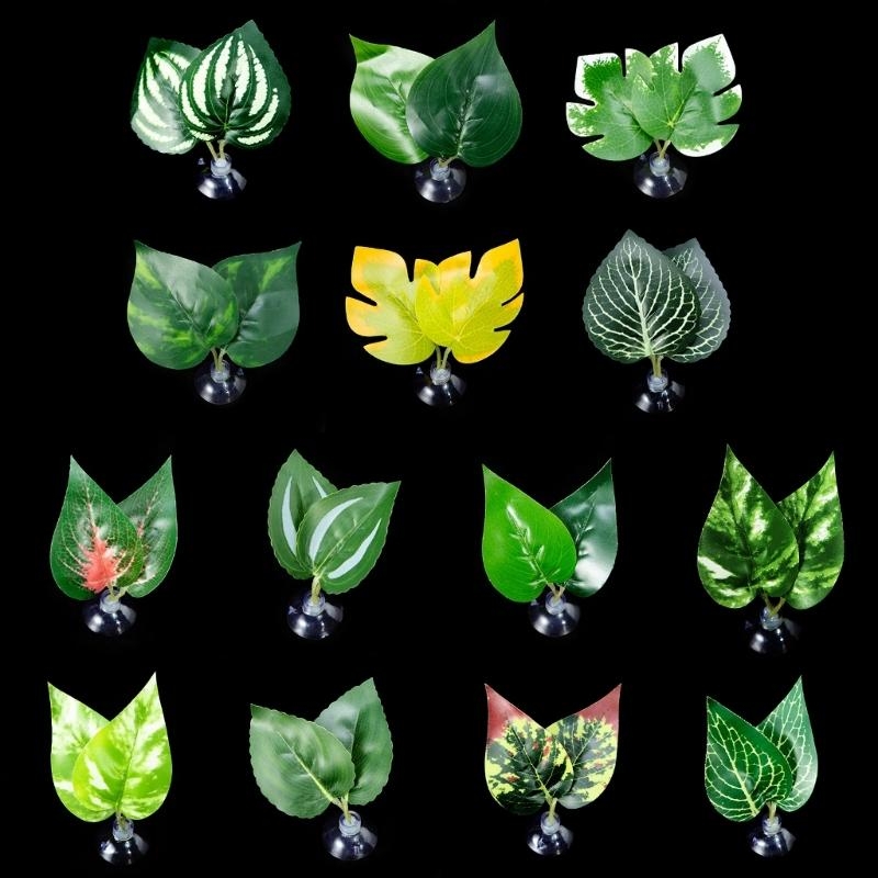 Planted Aquarium For Betta - سرير أرجوحة من أوراق السمك لتزيين