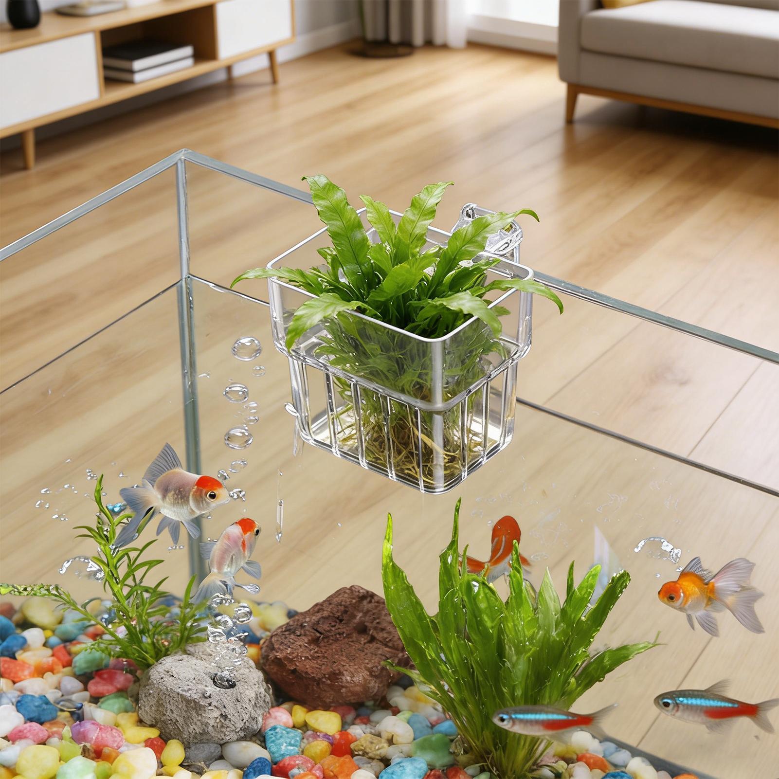 Aquarium Plant Holder - وعاء شفاف قابل للتعليق لحمل نباتات