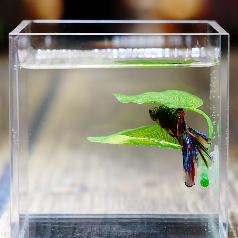 Planted Aquarium For Betta - نباتات أوراق صناعية للزينة في أحواض