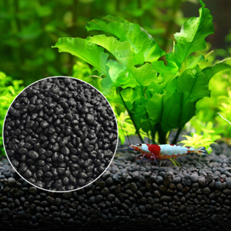 Aquarium Plant Growth - نباتات أحواض السمك ، التربة ،