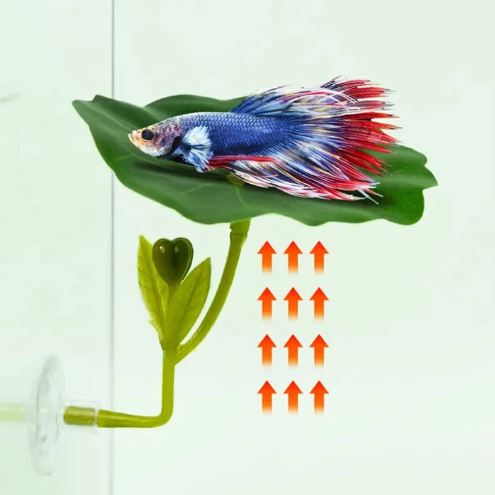 Planted Aquarium For Betta - 1 قطعة أرجوحة سمك البيتا ذات