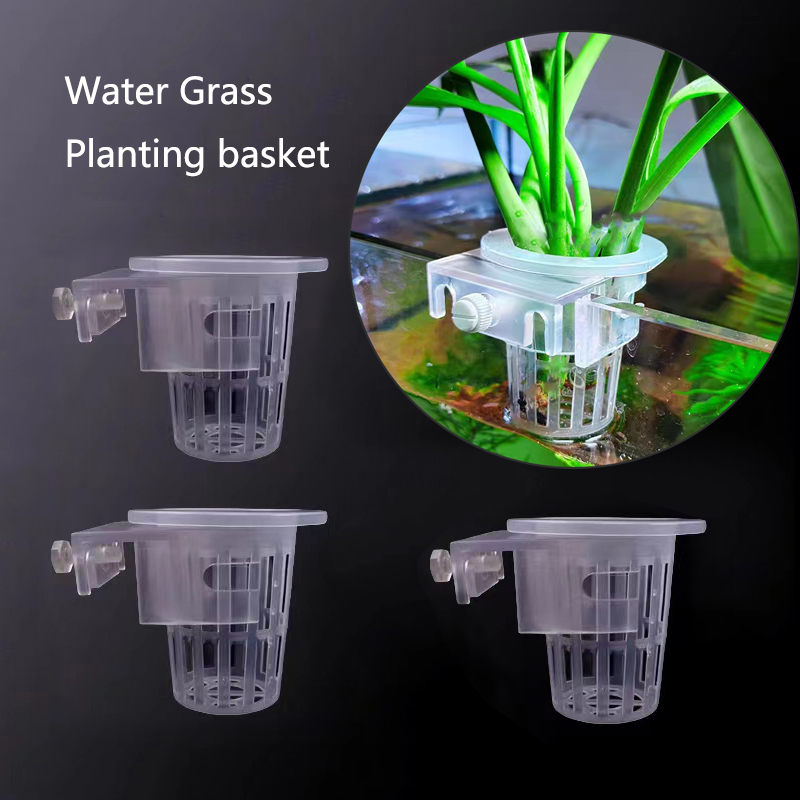 Aquarium Plant Holder - شنقا دعم الزراعة المائية لخزان الأسماك