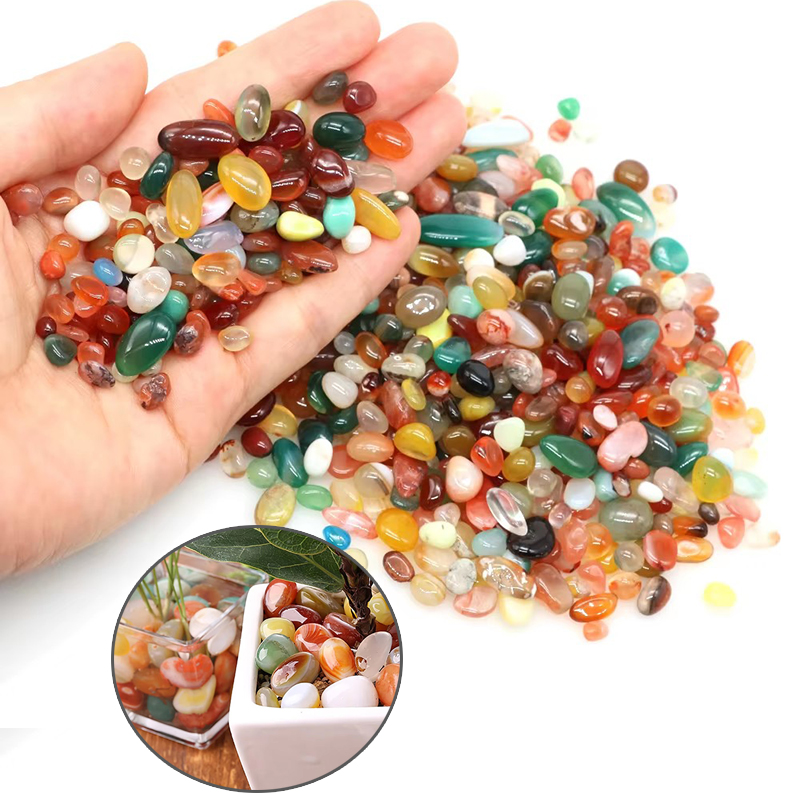 100/200 جرام 1 ~ 1.6 سنتيمتر ا - مراجعة Planted Aquarium Air Stone وسعره