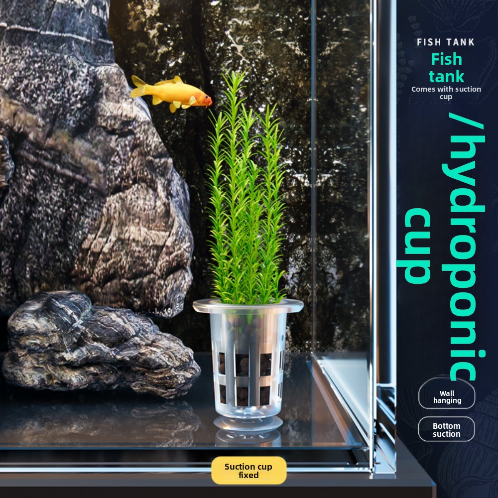 10 قطع من أواني الزراعة المائي - مراجعة Aquarium Plant Growth وسعره