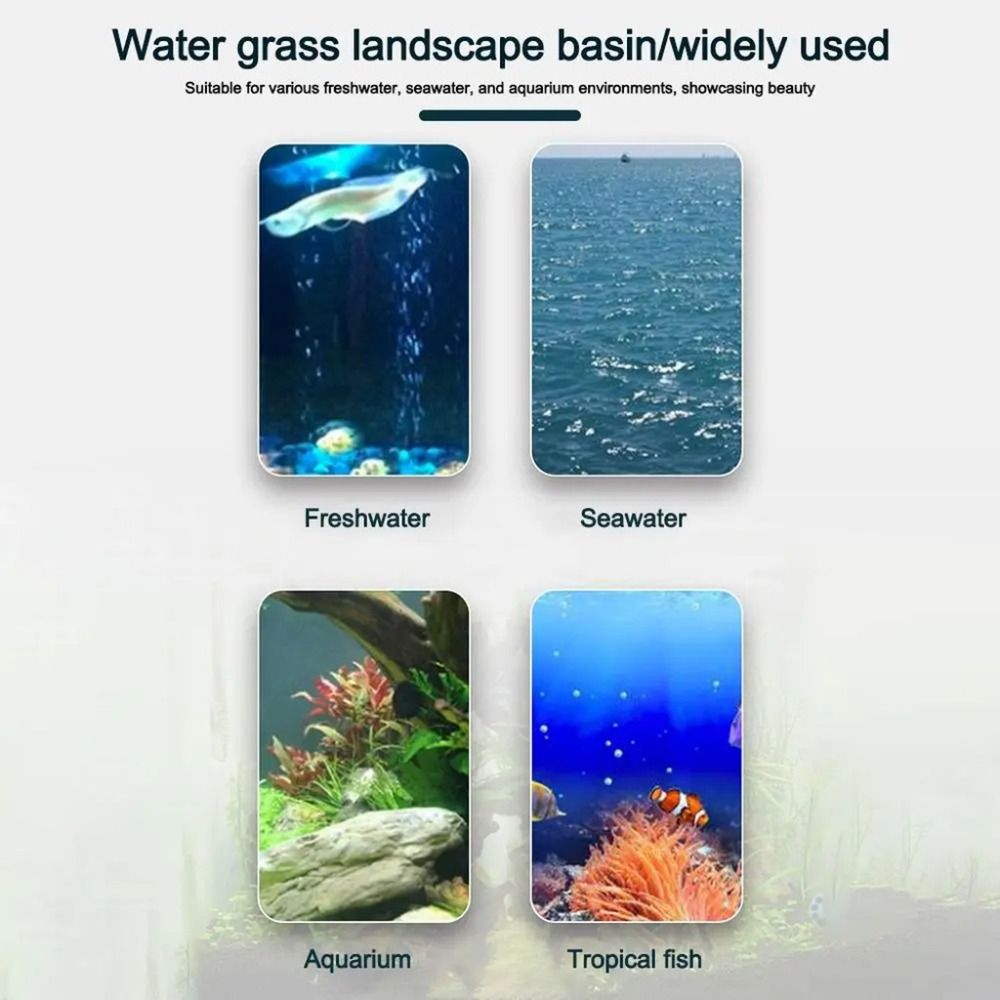 10 قطع من أواني الزراعة المائي - مراجعة Aquarium Plant Growth وسعره