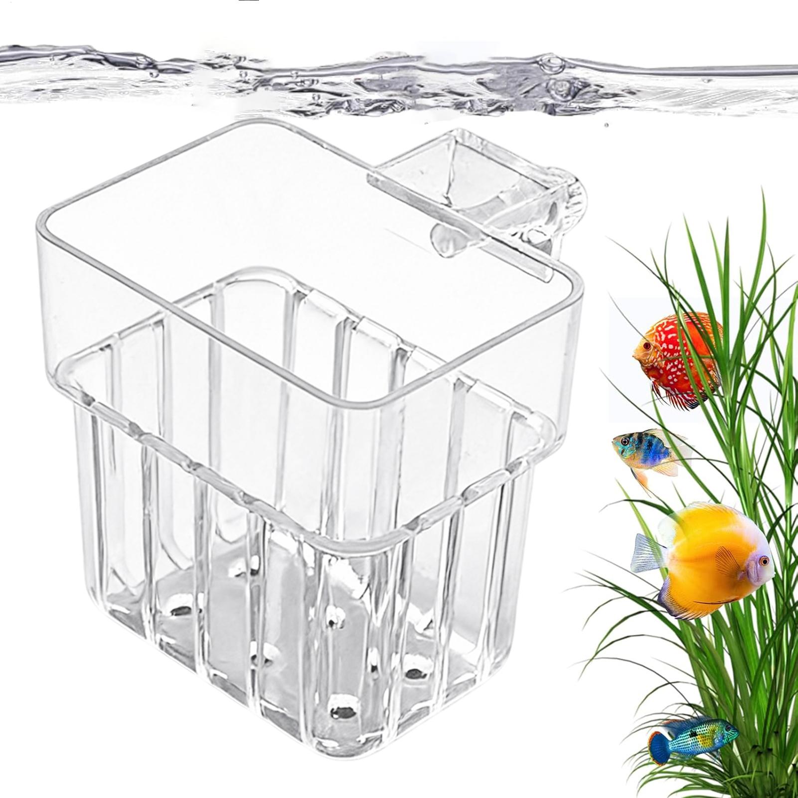 وعاء شفاف قابل للتعليق لزراعة  - مراجعة Aquarium Plant Growth وسعره