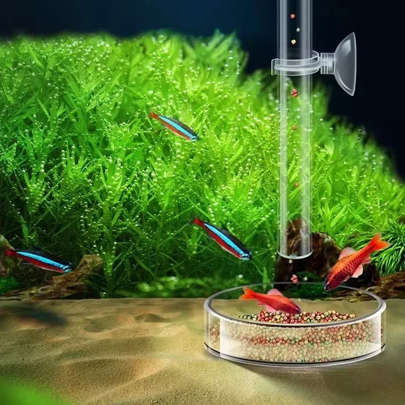 مجموعة أنبوب تغذية زجاجي للأحو - مراجعة Aquarium Plant Red وسعره
