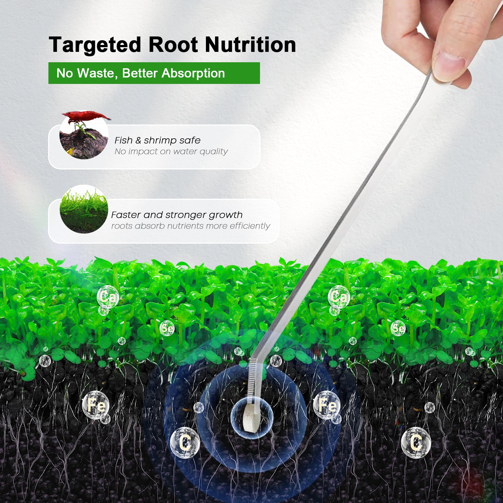 أقراص سماد النباتات القابلة لل - مراجعة Aquarium Plant Root Fertilizer وسعره