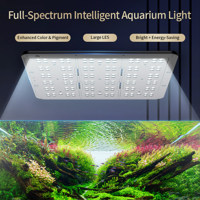 مصباح نمو نباتات المياه الطبيع - مراجعة Planted Aquarium Uv Light وسعره