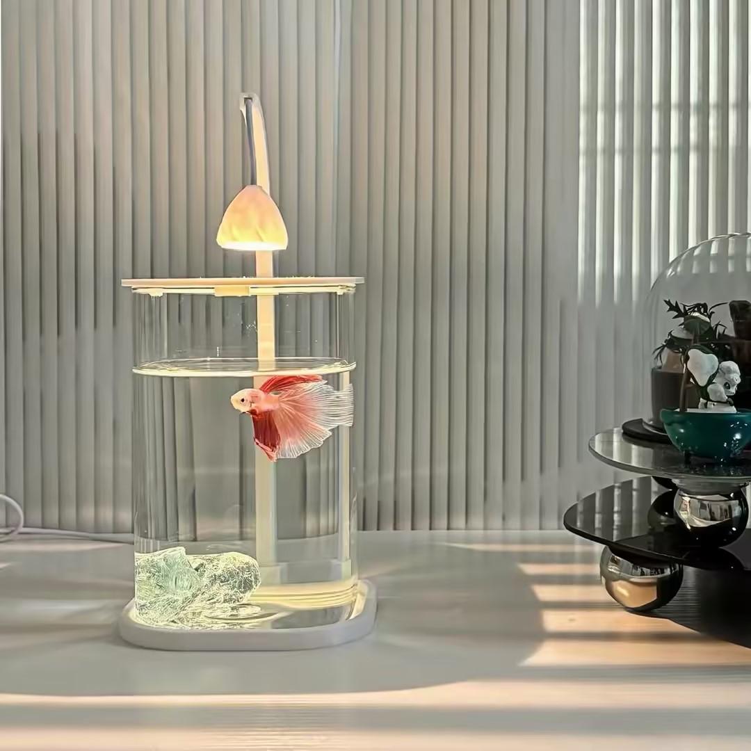 360 °   حوض سمك بانورامي شفاف  - مراجعة Planted Aquarium For Betta وسعره