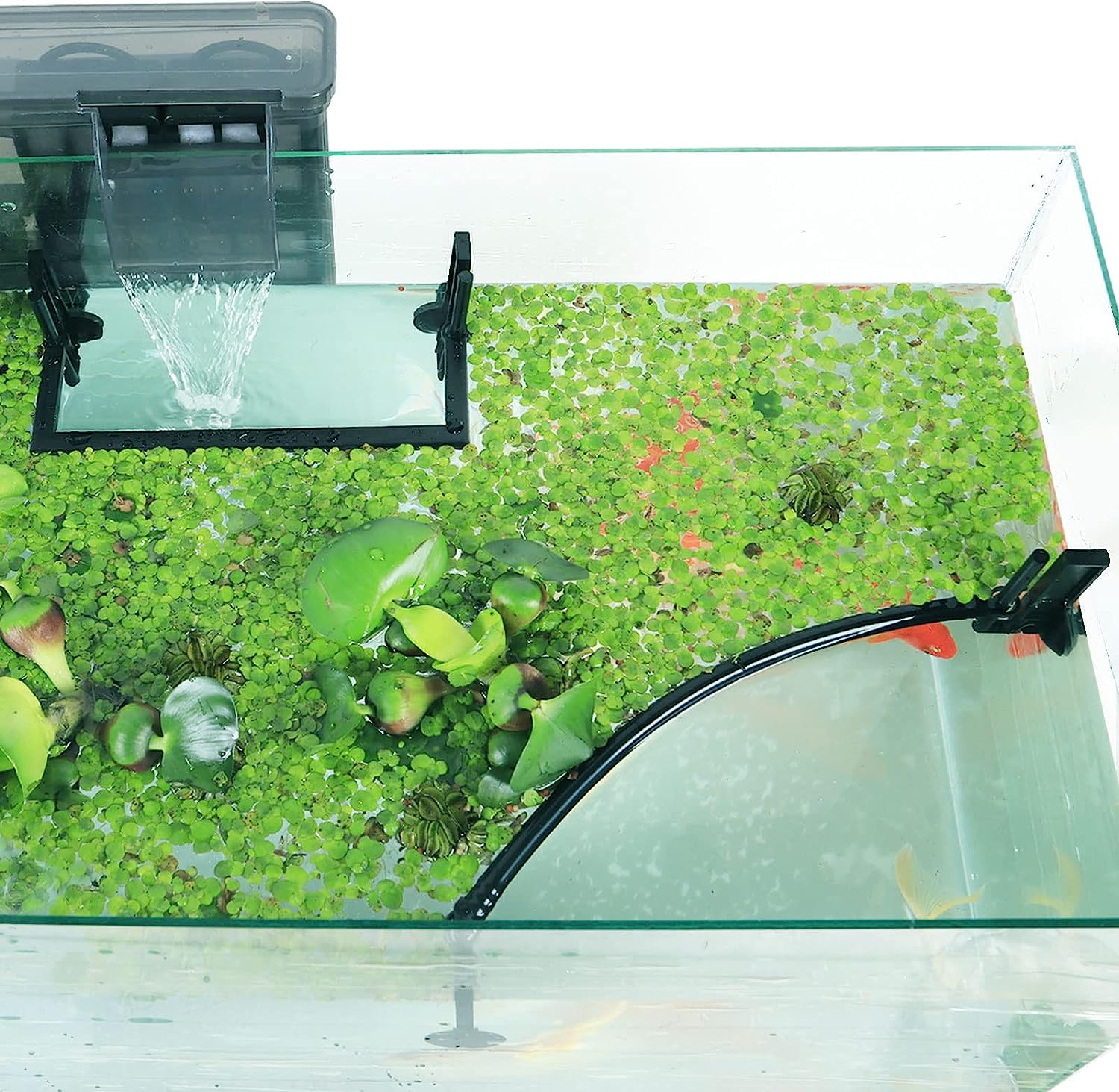 زريبة نباتات عائمة لحوض السمك  - مراجعة Planted Aquarium Heater وسعره