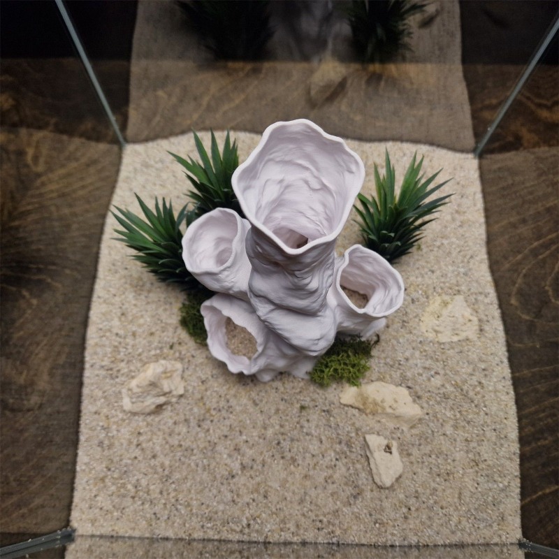 عرض ساخن: نفق مرجاني ثلاثي الأ - مراجعة Planted Aquarium For Betta وسعره