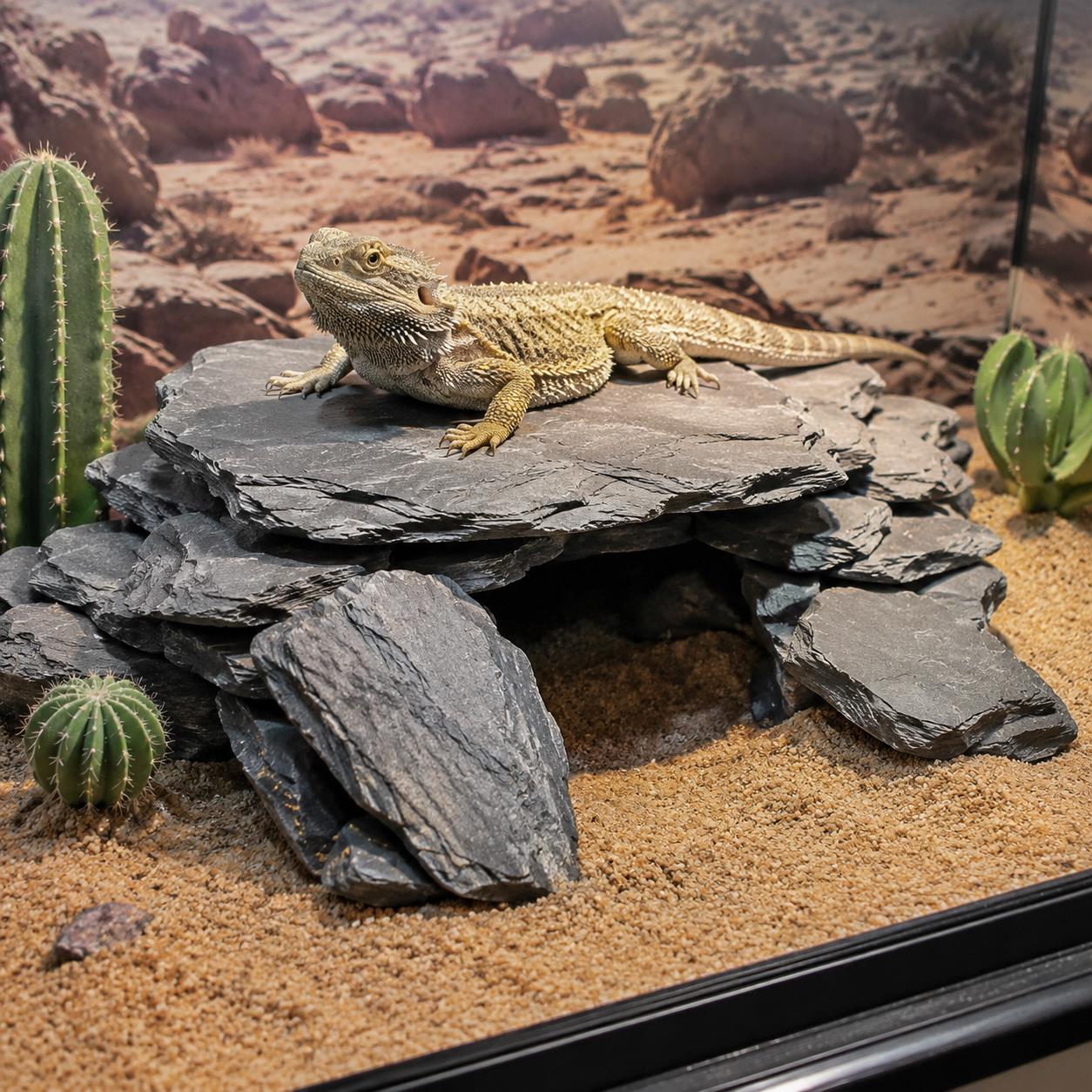 رقائق صخرية للأحواض المائية 50 - مراجعة Planted Aquarium Hardscape وسعره