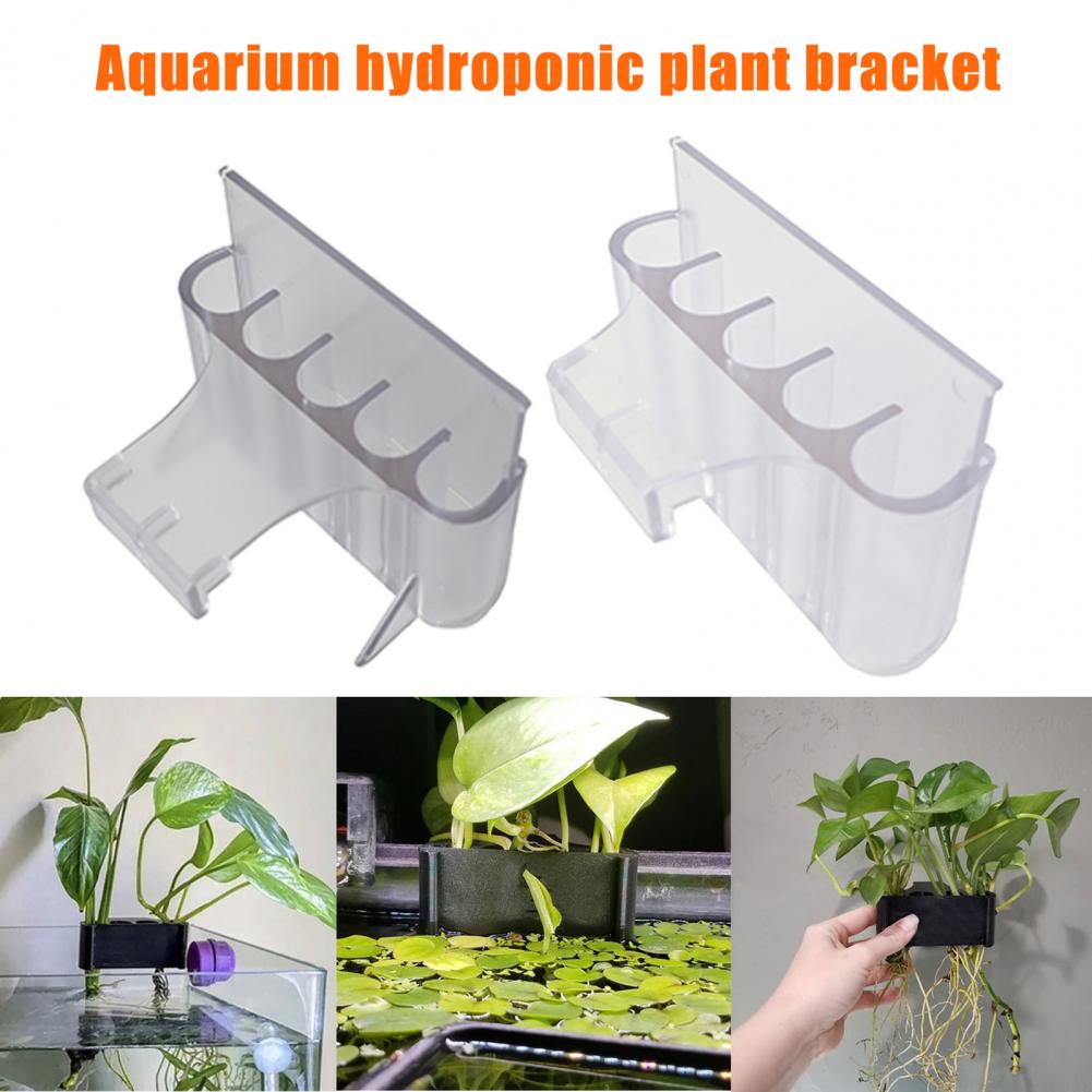 4.5/6.5 سنتيمتر حامل نبات حوض  - مراجعة Aquarium Plant Holder وسعره