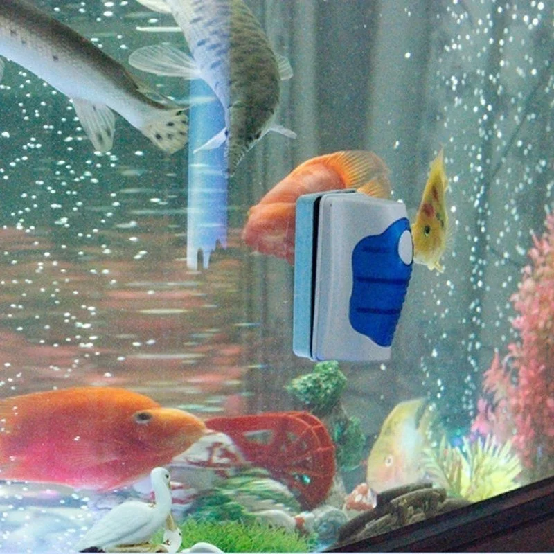 منظف مكشطة زجاجية لخزان الأسما - مراجعة Planted Aquarium Cleaning وسعره