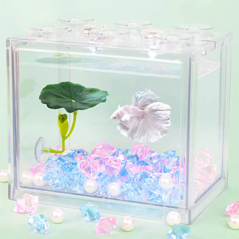 أرجوحة على شكل ورقة خضراء لأسم - مراجعة Planted Aquarium For Betta وسعره