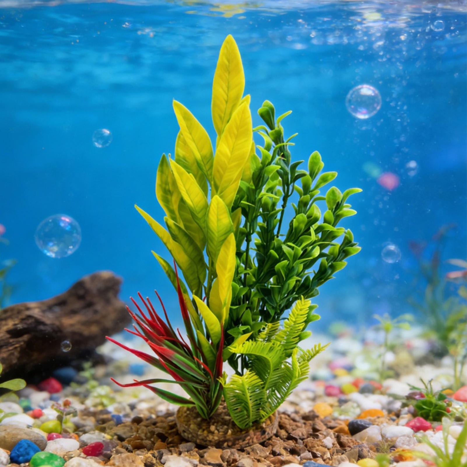 نباتات اصطناعية لأحواض السمك،  - مراجعة Planted Aquarium For Betta وسعره