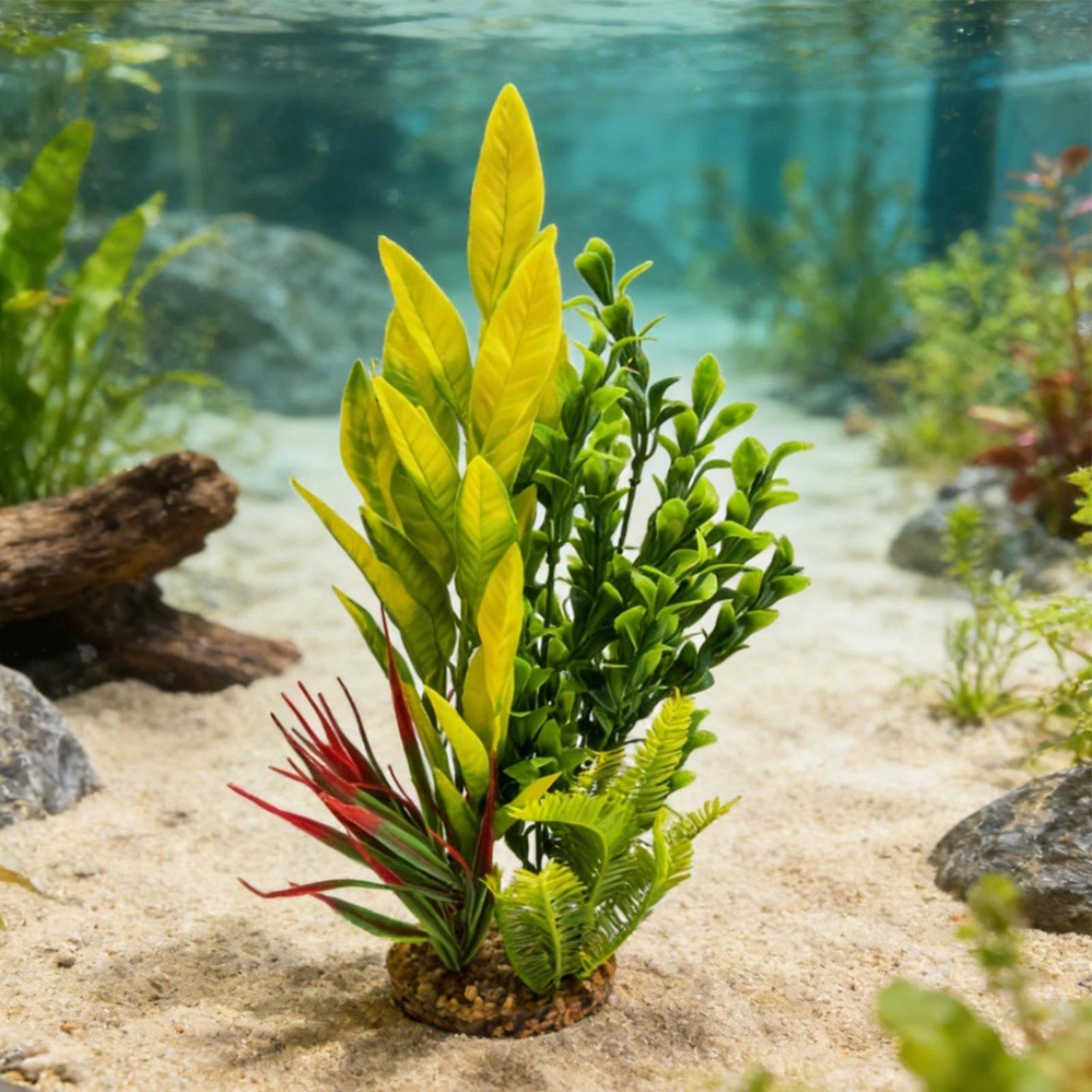 نباتات اصطناعية لأحواض السمك،  - مراجعة Planted Aquarium For Betta وسعره