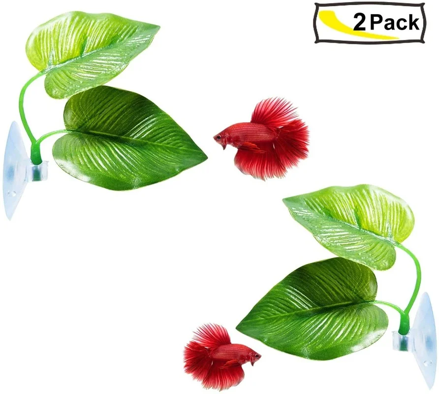 أرجوحة أوراق السمك بيتا محاكاة - مراجعة Planted Aquarium For Betta وسعره