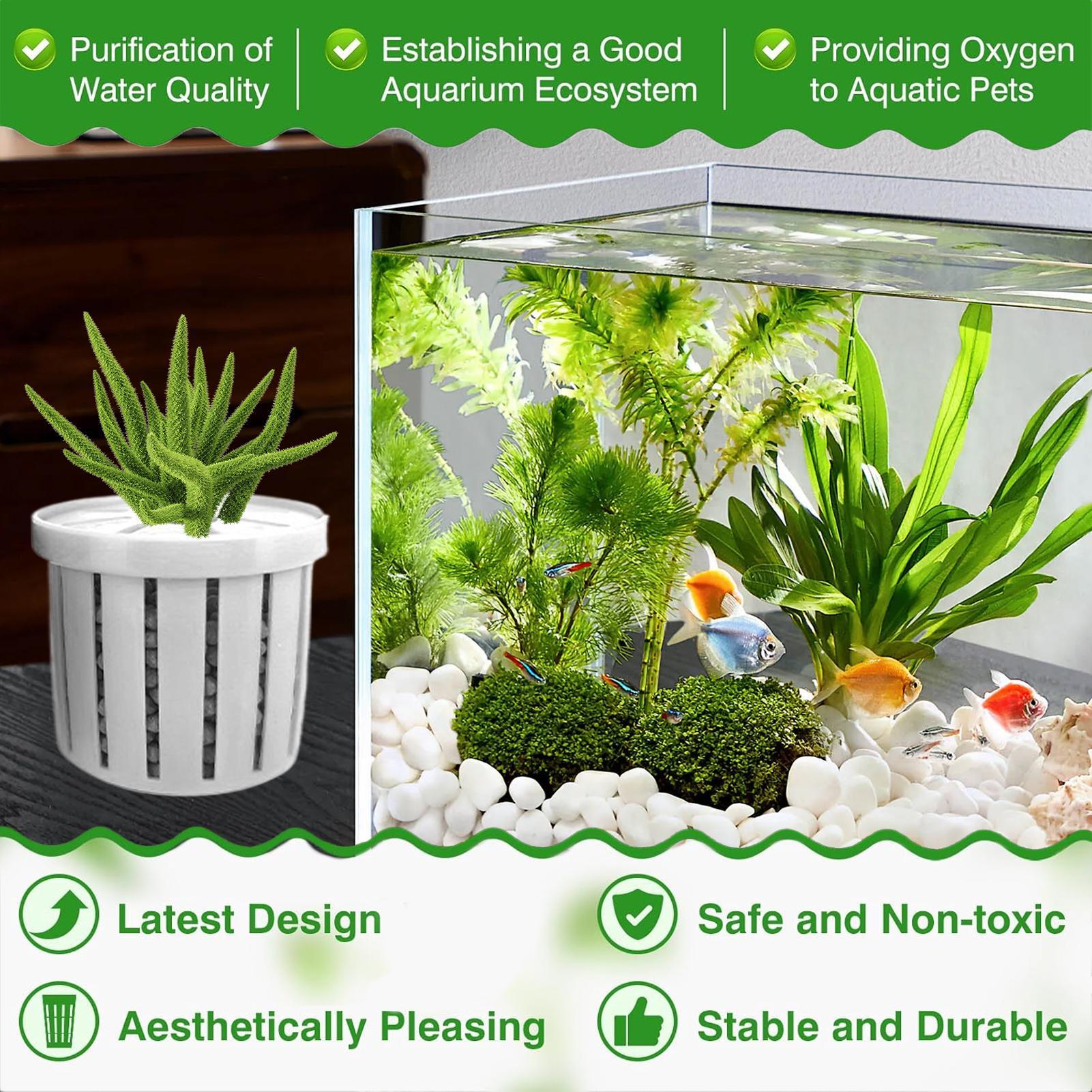 4 قطع من أواني الزراعة المائية - مراجعة Aquarium Plant Holder وسعره