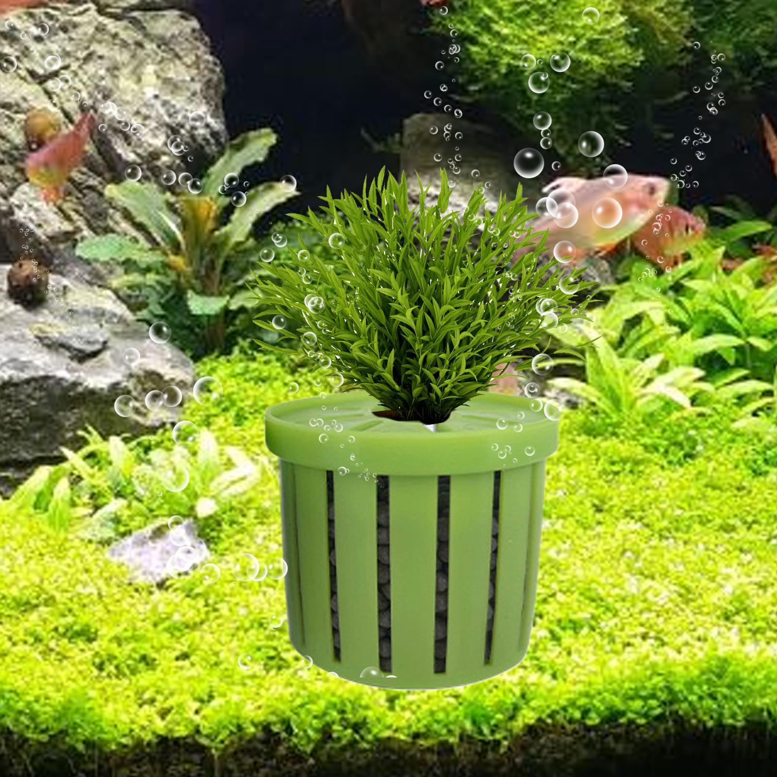 4 قطع من أواني الزراعة المائية - مراجعة Aquarium Plant Holder وسعره