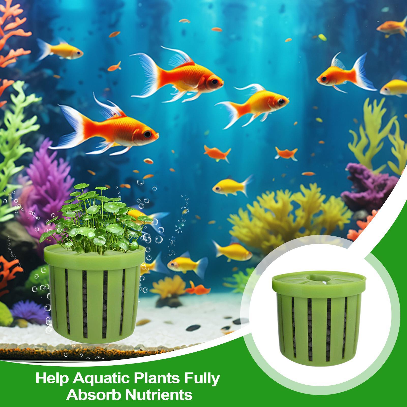 4 قطع من أواني الزراعة المائية - مراجعة Aquarium Plant Holder وسعره