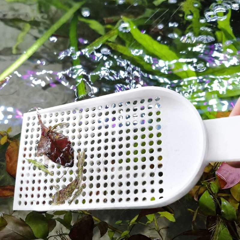 شبكة تنظيف الحطام لحوض السمك ذ - مراجعة Planted Aquarium Cleaning وسعره
