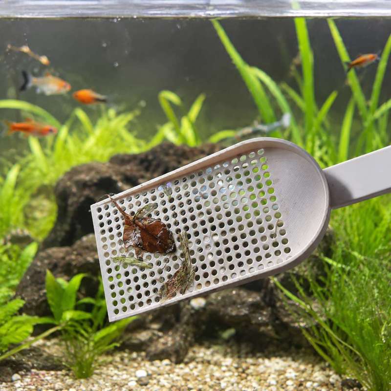 شبكة تنظيف الحطام لحوض السمك ذ - مراجعة Planted Aquarium Cleaning وسعره