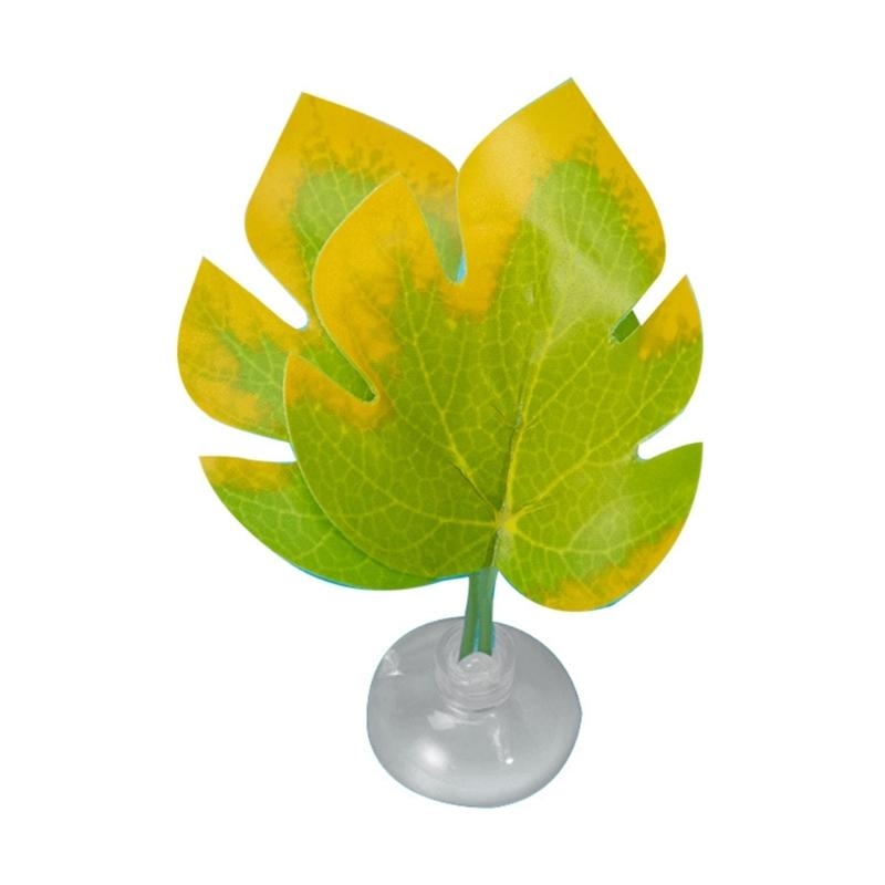 سرير أرجوحة من أوراق السمك لتز - مراجعة Planted Aquarium For Betta وسعره
