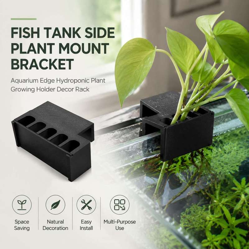حامل نباتات جانبي لحوض السمك،  - مراجعة Aquarium Plant Holder وسعره