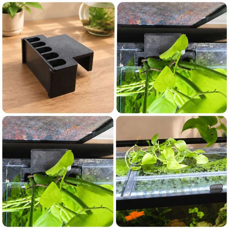 حامل نباتات جانبي لحوض السمك،  - مراجعة Aquarium Plant Holder وسعره