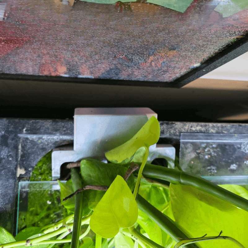 حامل نباتات جانبي لحوض السمك،  - مراجعة Aquarium Plant Holder وسعره