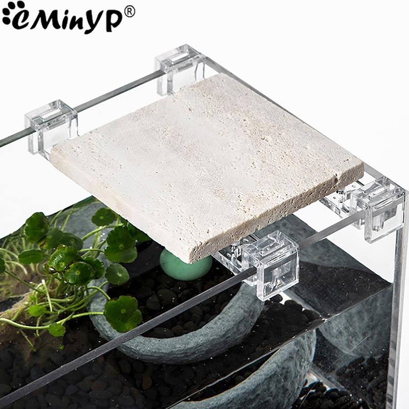 4 قطعة خزان الأسماك مقاطع الاك - مراجعة Aquarium Plant Holder وسعره