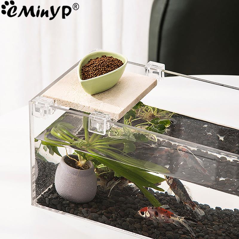 4 قطعة خزان الأسماك مقاطع الاك - مراجعة Aquarium Plant Holder وسعره