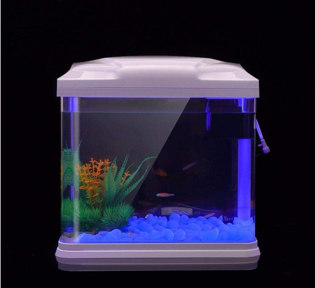 حوض السمك الصخور توهج الحصى ال - مراجعة Aquarium Plant Growth وسعره