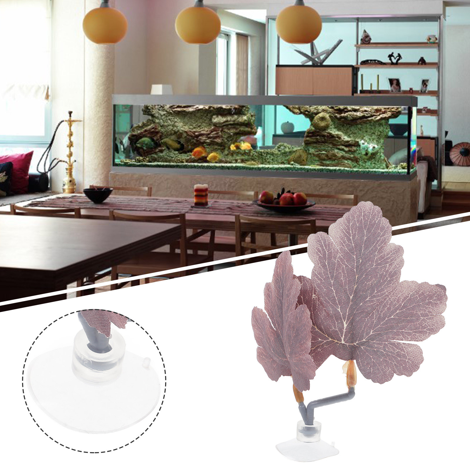 أرجوحة أوراق الشجر لسمك البيتا - مراجعة Planted Aquarium For Betta وسعره
