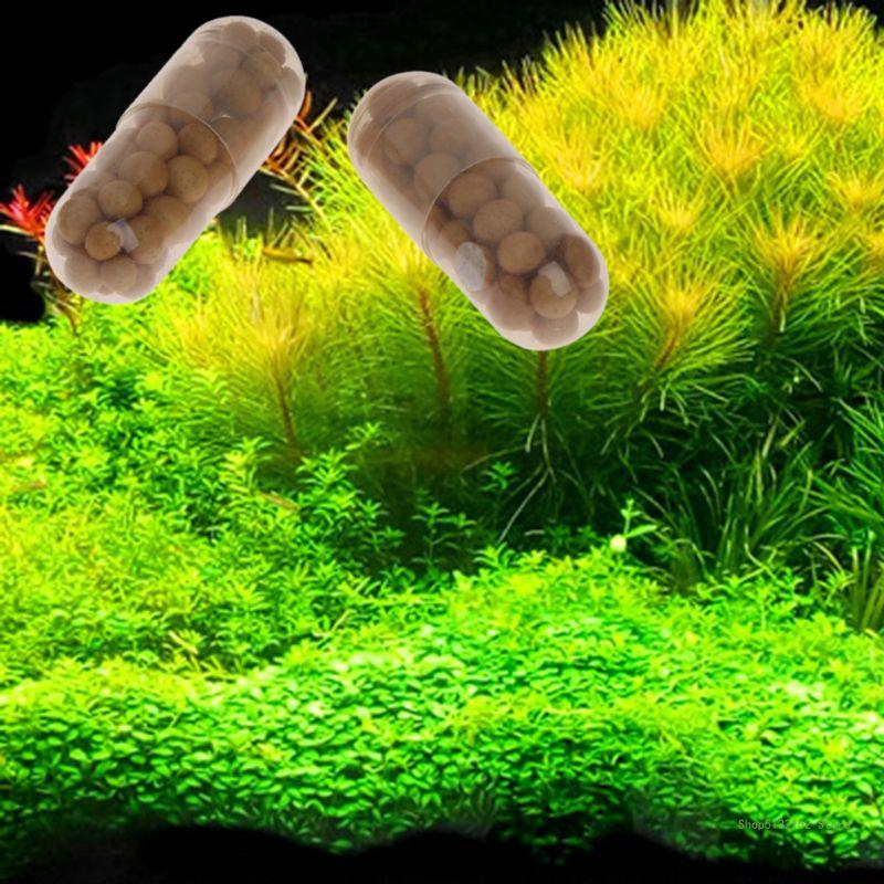 QX2E حوض السمك الأسمدة النباتي - مراجعة Aquarium Plant Root Fertilizer وسعره