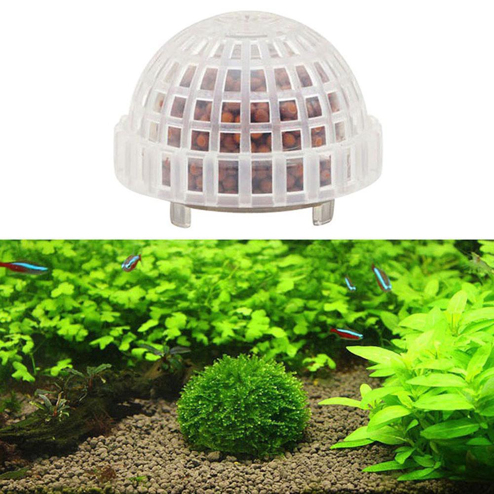 1-5 قطع من نباتات الزينة للأحو - مراجعة Aquarium Plant Red وسعره