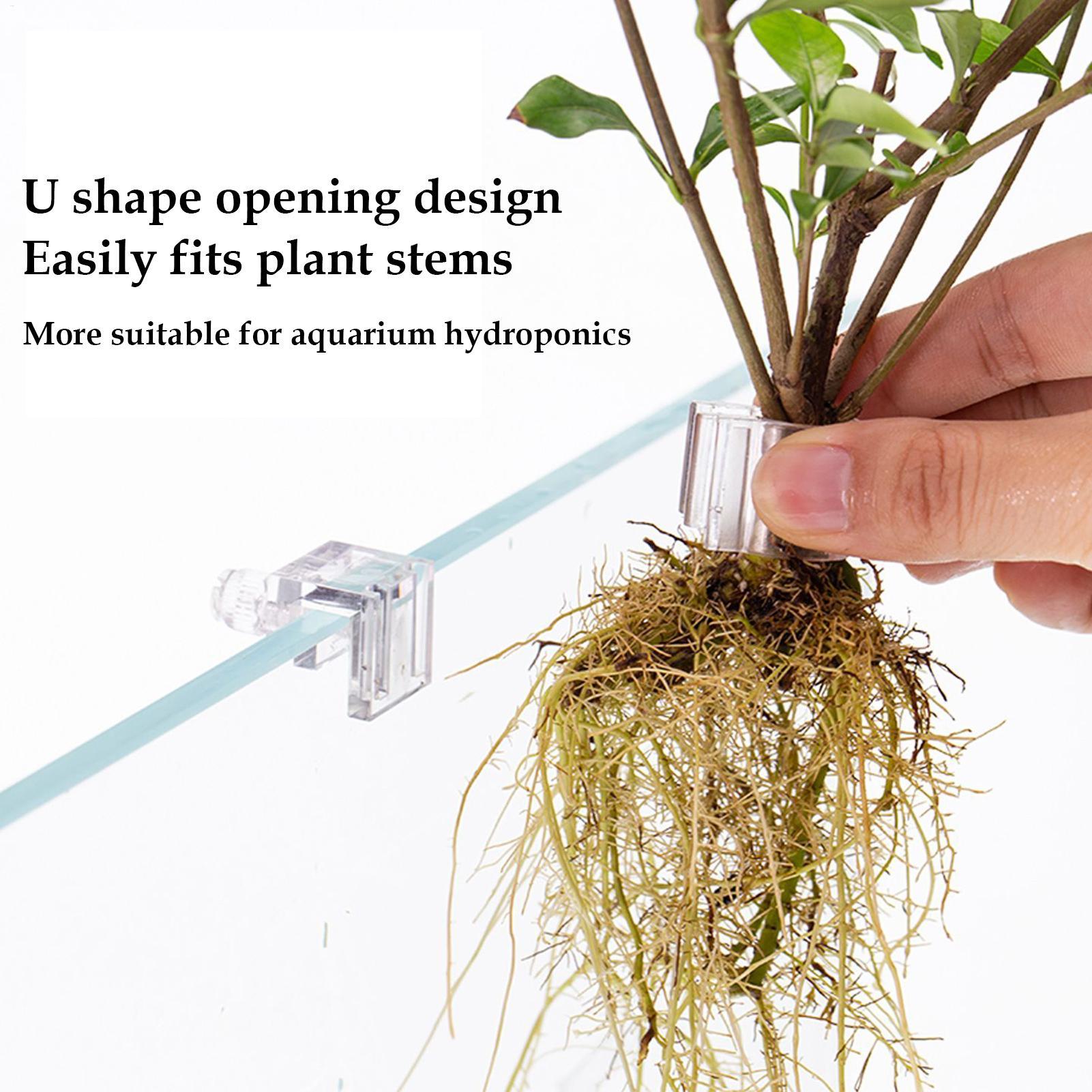 حامل نباتات لحوض السمك، 6 قطع، - مراجعة Aquarium Plant Holder وسعره