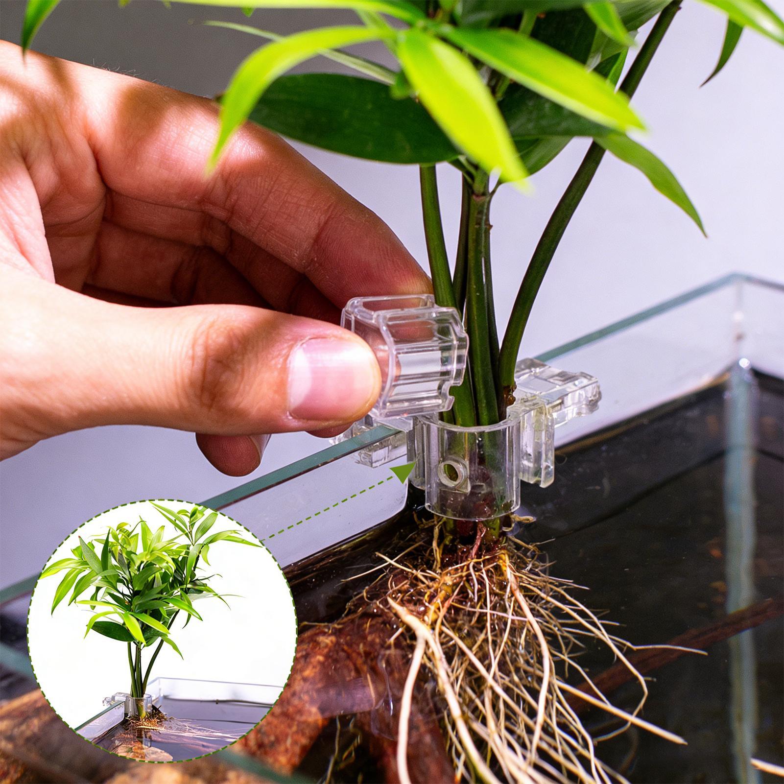 حامل نباتات لحوض السمك، 6 قطع، - مراجعة Aquarium Plant Holder وسعره