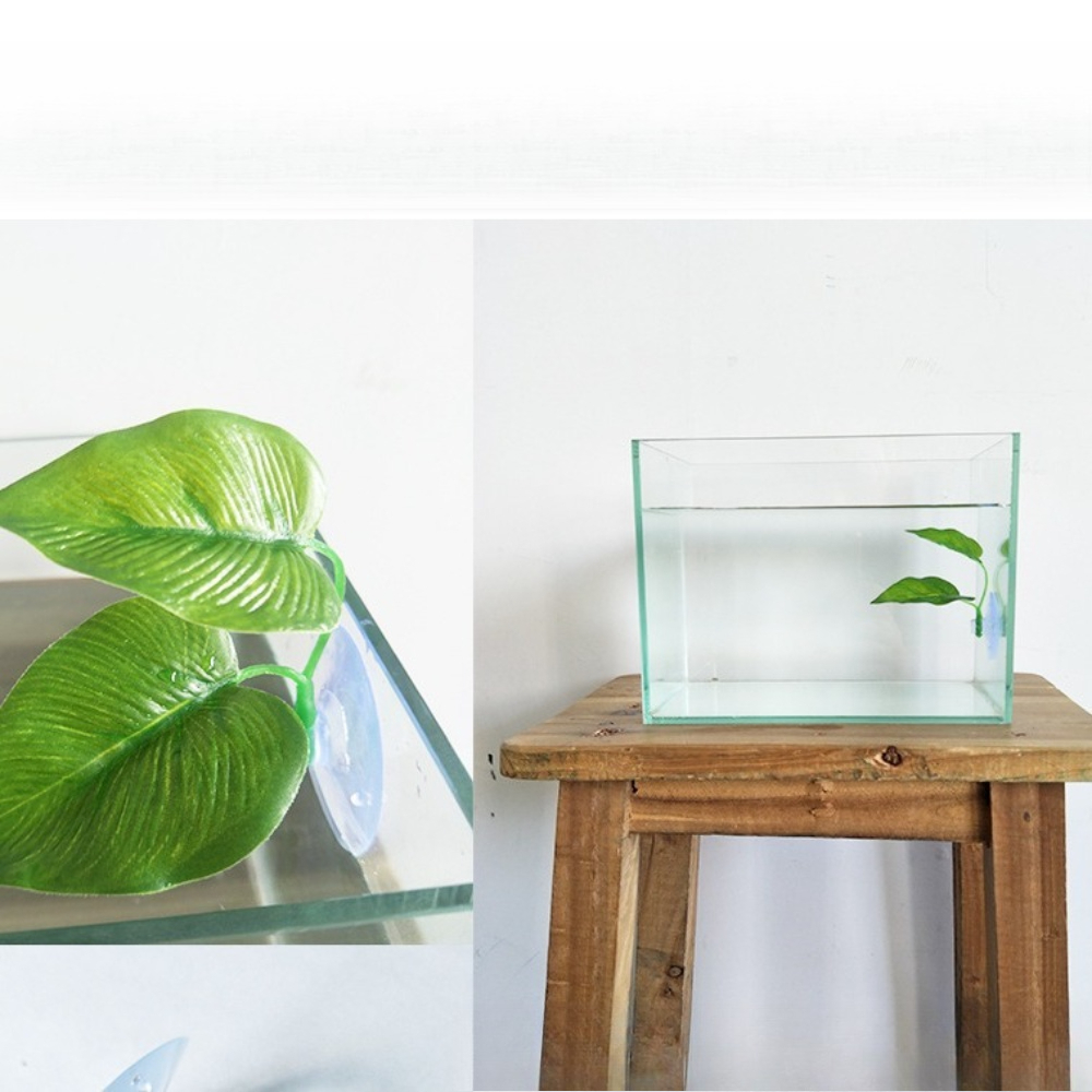 1/3/5/10 قطع من أوراق نباتات ب - مراجعة Planted Aquarium For Betta وسعره