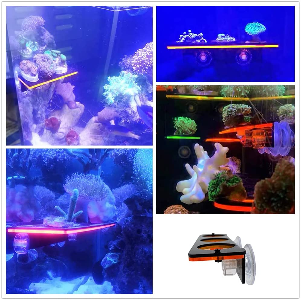 الفلورسنت المرجان Frag التوصيل - مراجعة Aquarium Plant Holder وسعره
