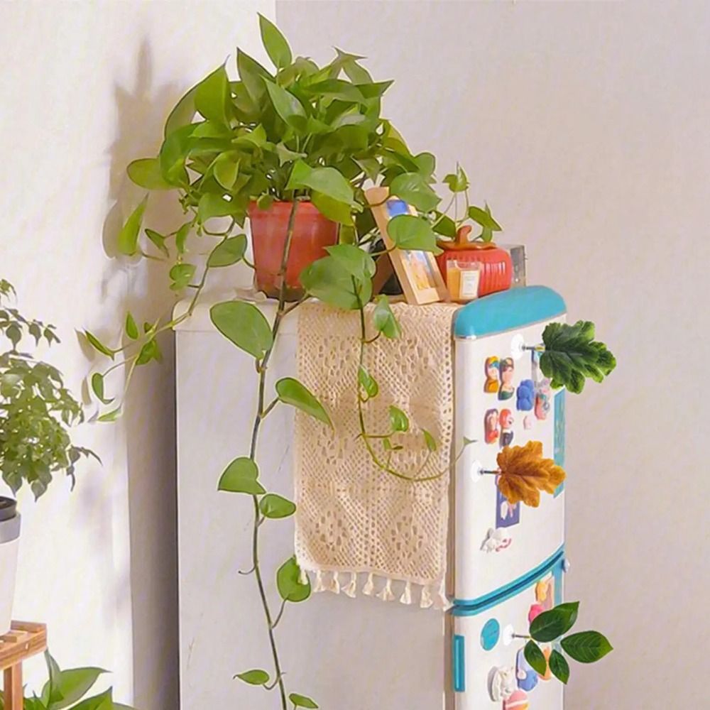 ورقة بلاستيكية لاستراحة أسماك  - مراجعة Planted Aquarium For Betta وسعره