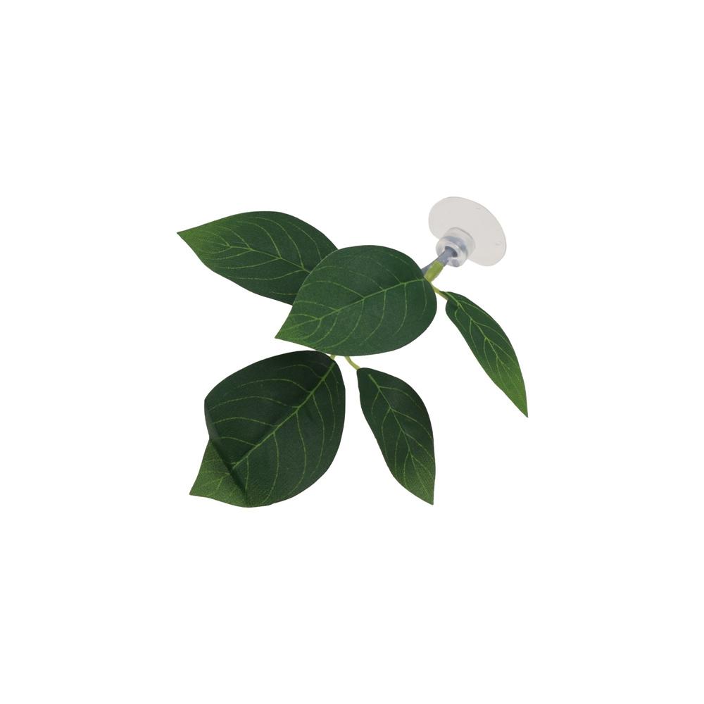 ورقة بلاستيكية لاستراحة أسماك  - مراجعة Planted Aquarium For Betta وسعره